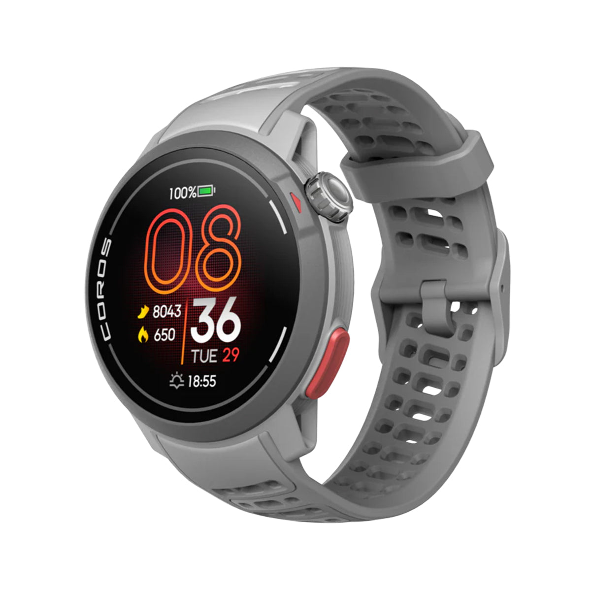 Pace Pro Silicon.