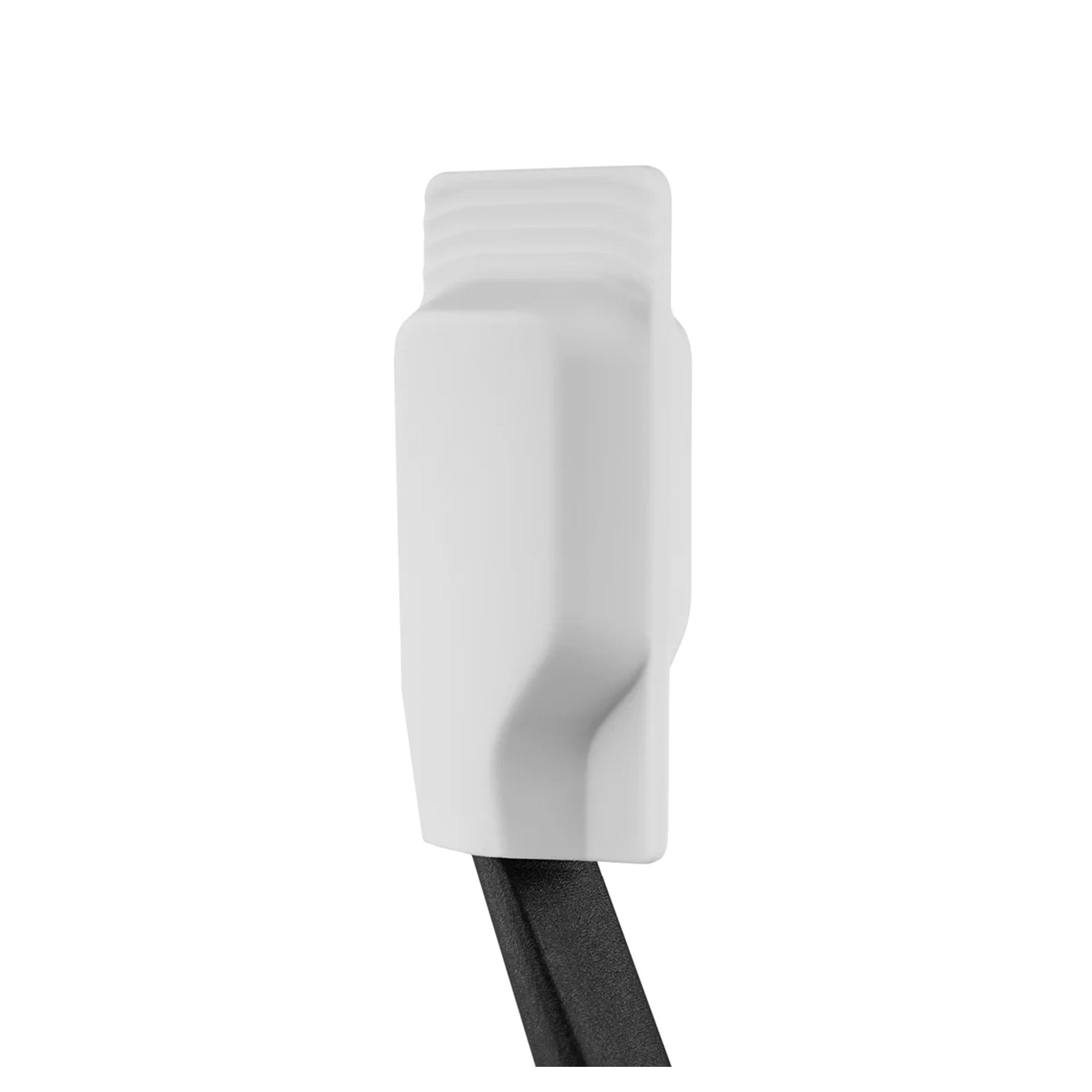 Toothbrush Caps 2P