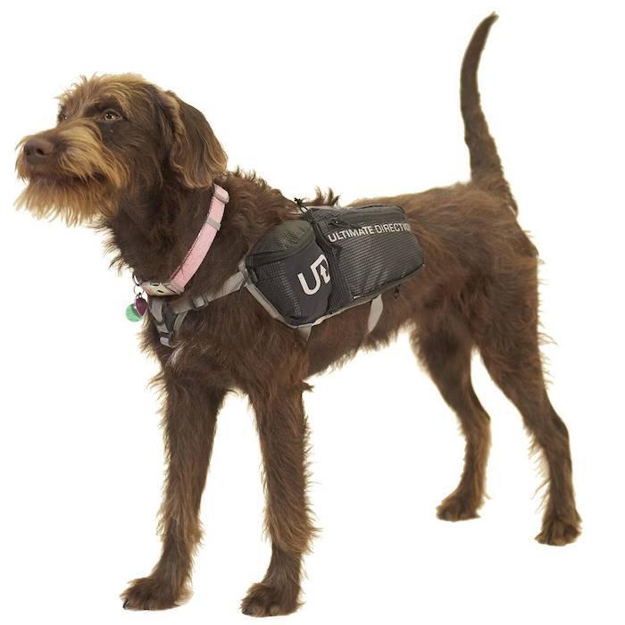 ドッグベスト DOG VEST [ULTIMATE DIRECTION アルティメイトディレクション] - STRIDE LAB ONLINE STORE（ストライド ラボ）